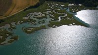 Estran, sur les bords du Frémur, Saint Briac