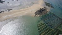oestréiculture, Saint Jacut de la Mer